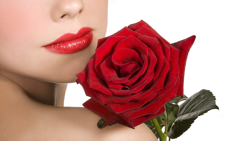Page 6 | Girl Red Rose HD wallpapers free download | Wallpaperbetter