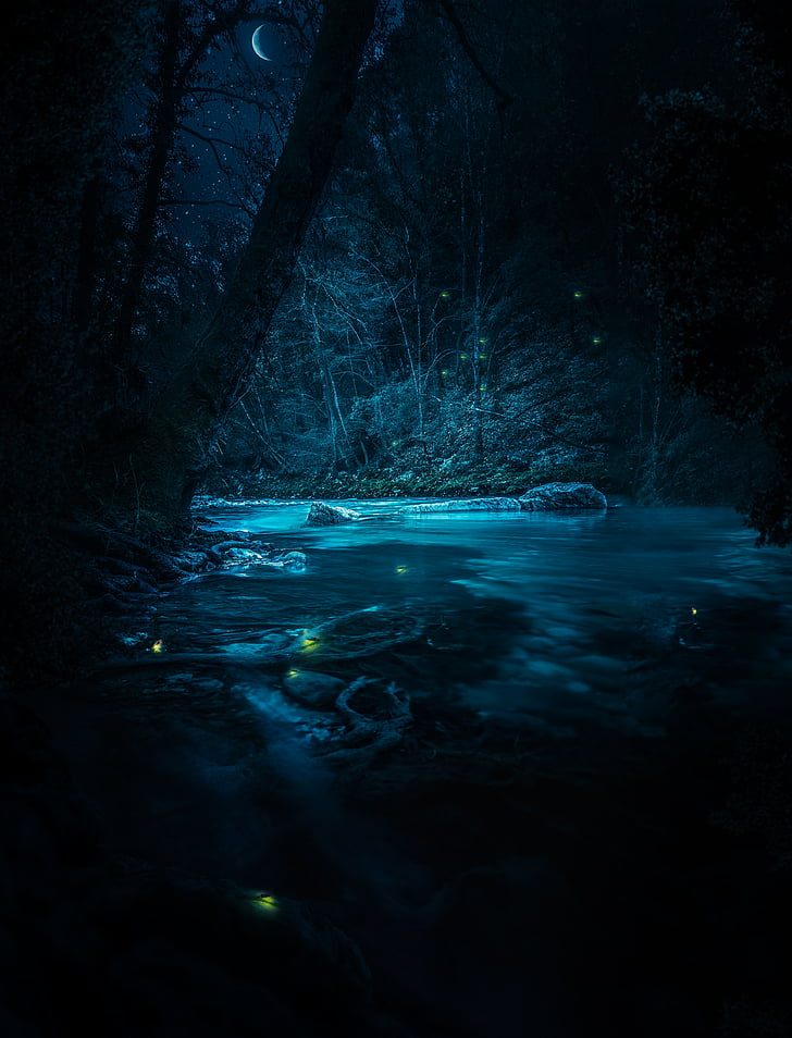 River, Stream, Fairies, Night, Forest, 4K, HD wallpaper