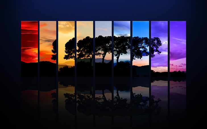 multicolored silhouette tree art, Spectrum, Tree, Colorful, Dawn, Dusk, Twilight, Sunrise, Sunset, HD, HD wallpaper