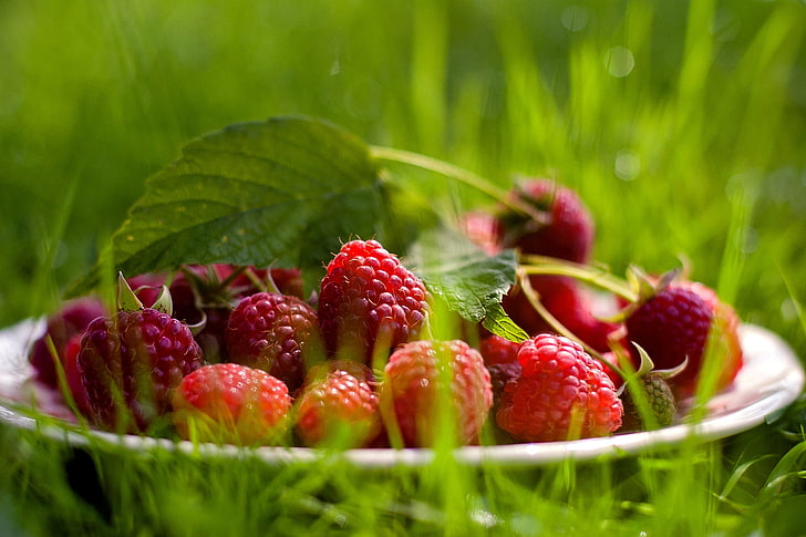 red fruit lot, raspberry, berry, grass, leaf, plate, HD wallpaper