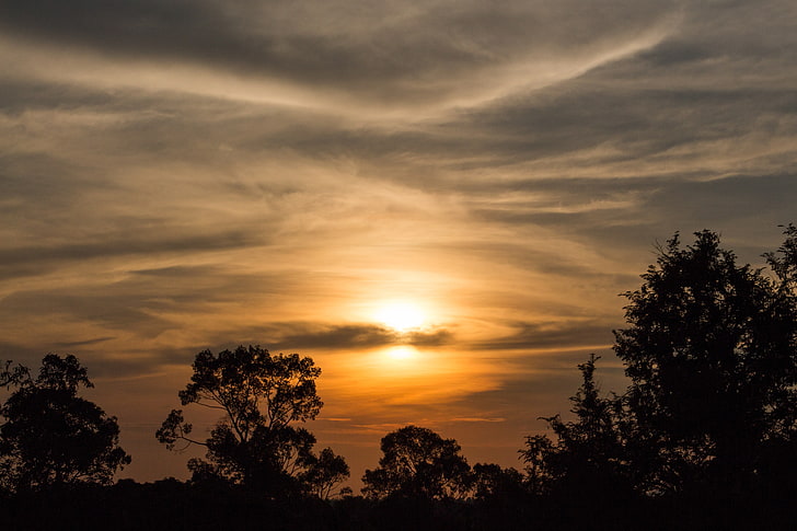 Silhouette der Bäume, Kambodscha, Sonnenuntergang, Silhouette, Bäume, Skyscape, HD-Hintergrundbild