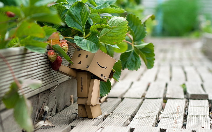 коричневая картонная фигура робота, щит, картонный робот, клубника, ягоды, трава, прогулка, HD обои