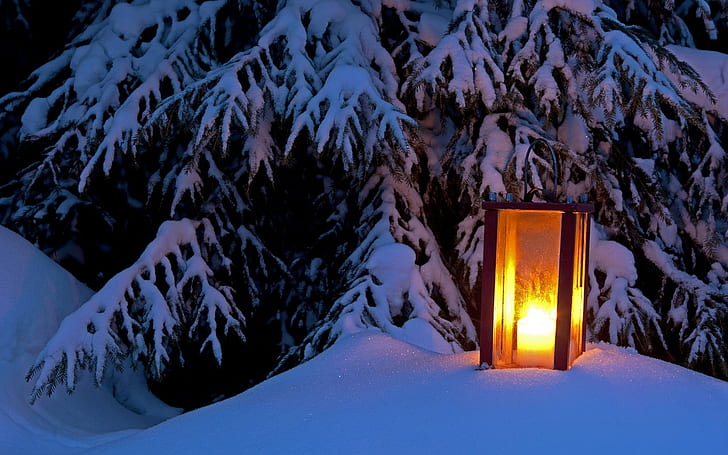 Latern winter light, brown and gray outdoor candle holder, lantern, snow, tree, winter, light, HD wallpaper