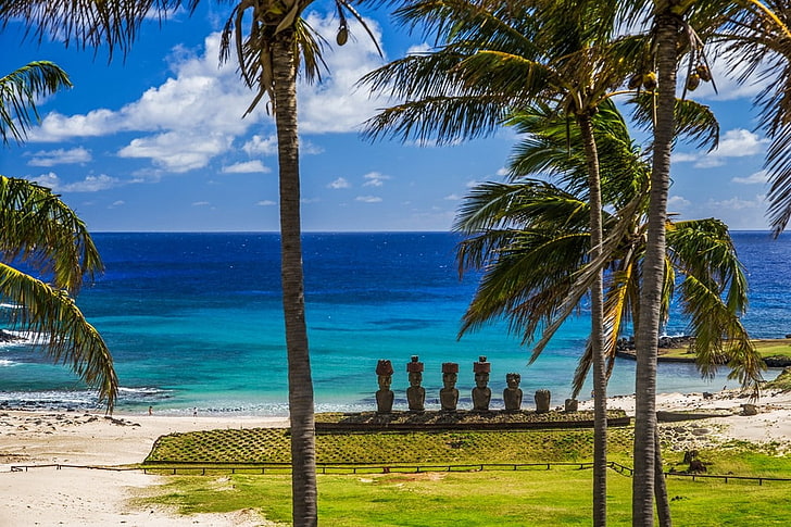 Natur, Landschaft, Strand, Meer, Palmen, Gras, Sand, Moai, Statue, Osterinsel, Rapa Nui, Chile, Sonnenlicht, HD-Hintergrundbild