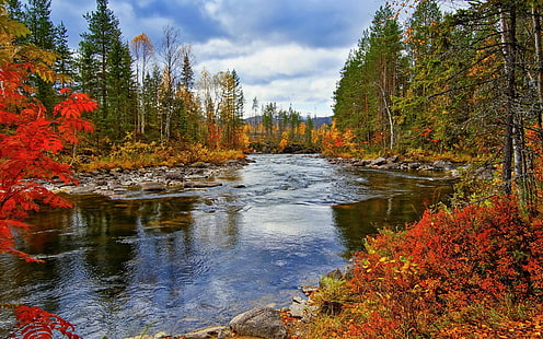 Река, дървета, есен, природа пейзаж, река, дървета, есен, природа, пейзаж, HD тапет HD wallpaper