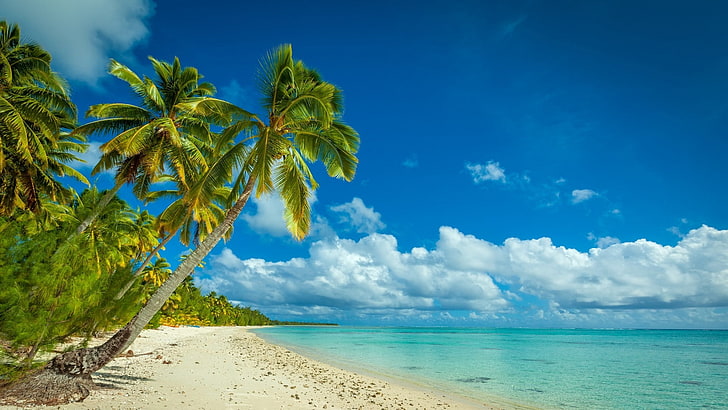 ビーチ、雲、島、風景、自然、ヤシの木、砂、海、夏、熱帯、白、 HDデスクトップの壁紙