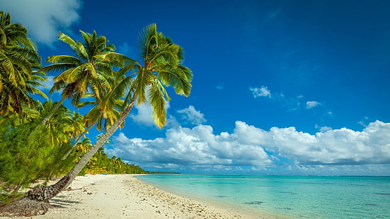 beach, clouds, island, landscape, nature, Palm Trees, sand, sea, summer, tropical, white, HD wallpaper HD wallpaper