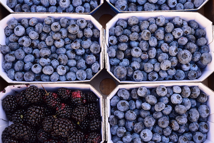blueberries, berries, blueberries, blackberries, HD wallpaper