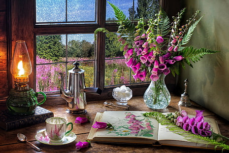 Fotografia, martwa natura, książka, kwiat, lampa naftowa, dzban, filiżanka do herbaty, okno, Tapety HD HD wallpaper