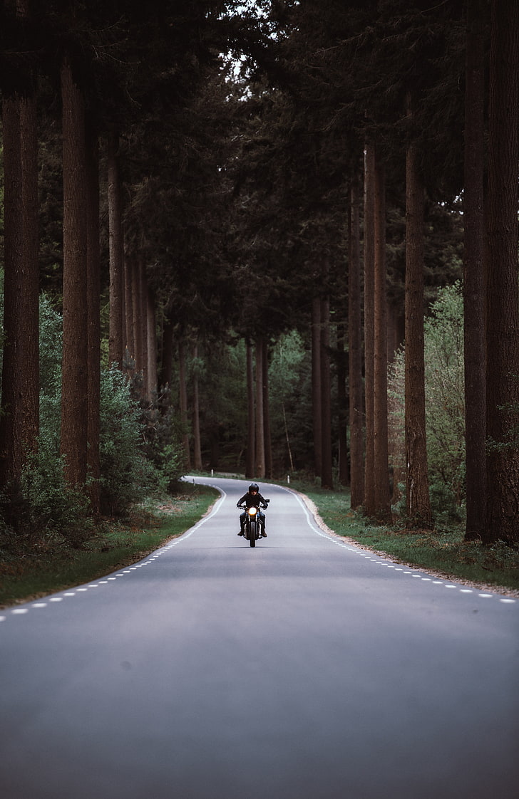 moto noire, motocycliste, moto, route, forêt, mouvement, virage, Fond d'écran HD, fond d'écran de téléphone