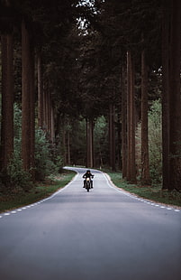 motocicletta nera, motociclista, motocicletta, strada, foresta, movimento, svolta, Sfondo HD HD wallpaper