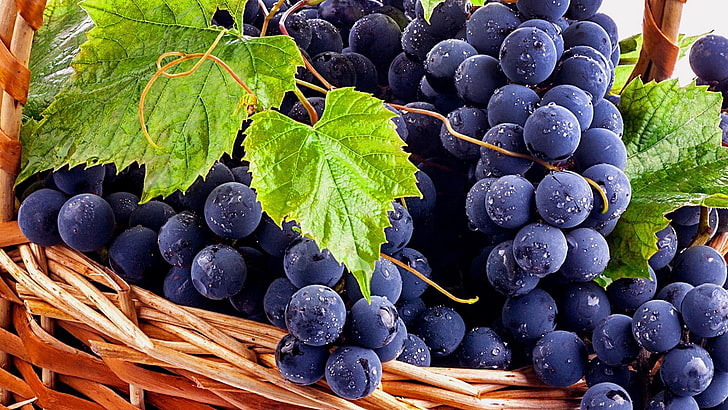 blue concord grape, grape, fruits, basket, HD wallpaper