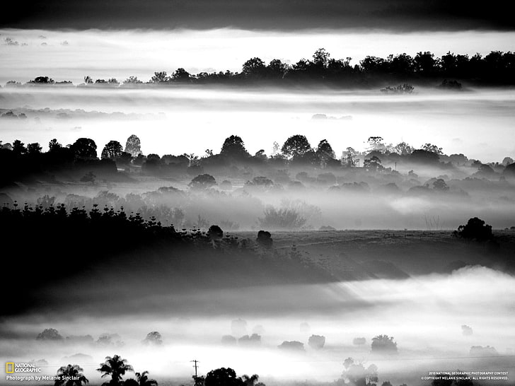 collar de cuentas blancas y negras, paisaje, niebla, naturaleza, Fondo de pantalla HD