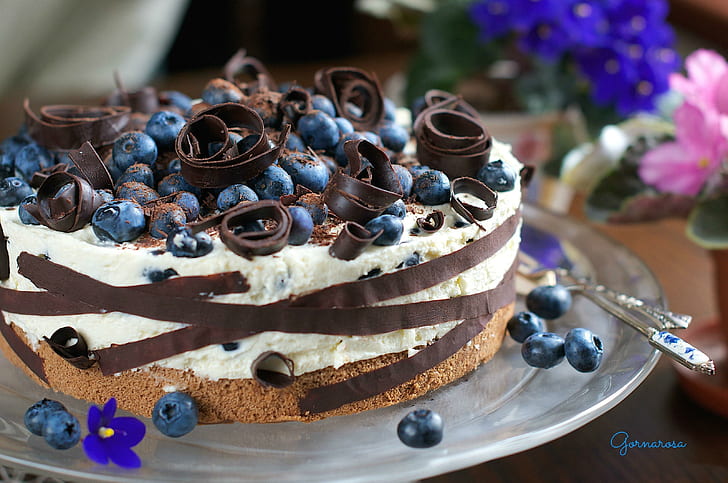*** Köstlicher Kuchen ***, Schokoladenkuchen mit Blaubeeren, Kuchen, süß, Essen, Dessert, HD-Hintergrundbild