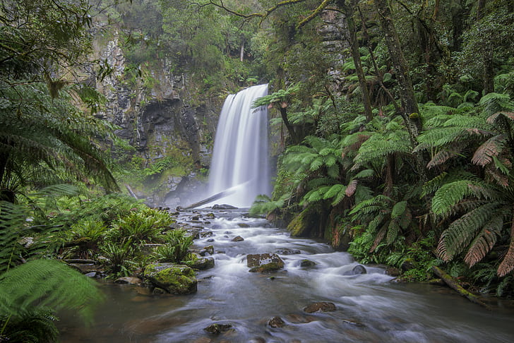 time-lapse photo of waterfall surrounded with trees, hopetoun, hopetoun, Hopetoun Falls, time-lapse, photo, waterfall, trees, hopetoun  falls, great  otway  national  park, rain  forest, rainforest, nature, australia, melbourne, nikon  d800, tokina, water  fall, landscape, tropical Rainforest, forest, river, stream, tree, freshness, water, tropical Climate, scenics, leaf, beauty In Nature, green Color, outdoors, HD wallpaper