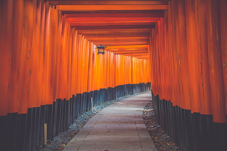 percorso di cemento grigio, corridoio, blu, arancione, muro, architettura, luminoso, architettura asiatica, Giappone, all'aperto, percorso, percorso, Sfondo HD