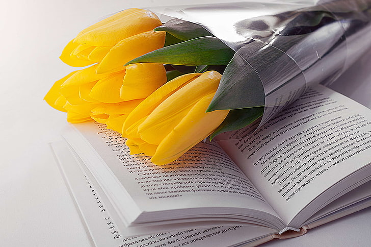 beautiful, bloom, blossom, blur, book, bouquet, celebration, close up, education, focus, knowledge, learning, literature, love, lovely, page, paper, read, romance, romantic, still life, study, symbol, tulips, HD wallpaper