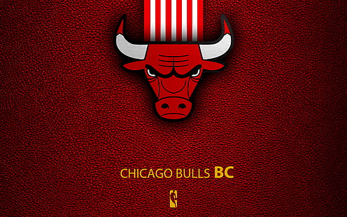 كرة السلة ، شيكاغو بولز ، الشعار ، الدوري الاميركي للمحترفين، خلفية HD HD wallpaper