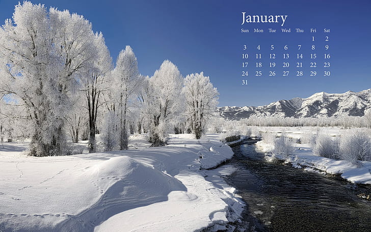 Fresh Snow January 2010 Calender, body of water with pile of snow surrounded with trees poser, 2010, snow, fresh, calender, january, HD wallpaper
