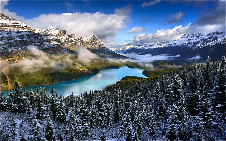 бяла и синя къща близо до водоема живопис, езеро, гора, планини, природа, сняг, облаци, пейзаж, тюркоаз, вода, Канада, дървета, HD тапет