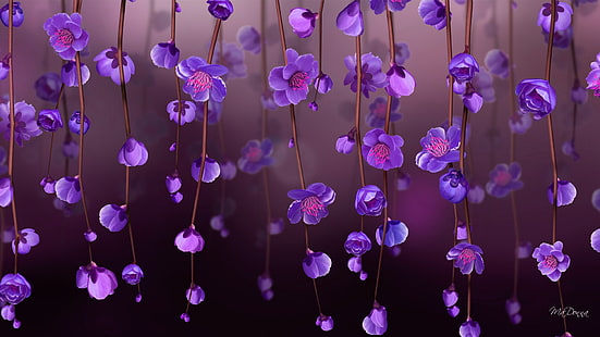 purple orchid digital wallpaper, pink petaled flowers, flowers, purple flowers, violet, HD wallpaper HD wallpaper