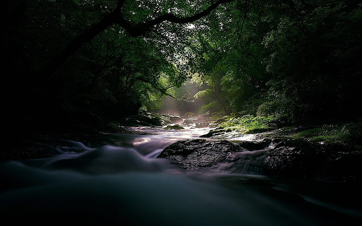 Sungai Aliran Pohon Hutan Batu Batu HD, alam, pohon, hutan, batu, batu, sungai, aliran, Wallpaper HD