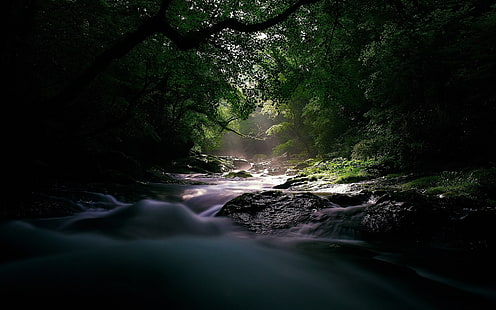 River Stream Trees Forest Rocks Stones HD, ธรรมชาติ, ต้นไม้, ป่า, หิน, หิน, แม่น้ำ, สตรีม, วอลล์เปเปอร์ HD HD wallpaper