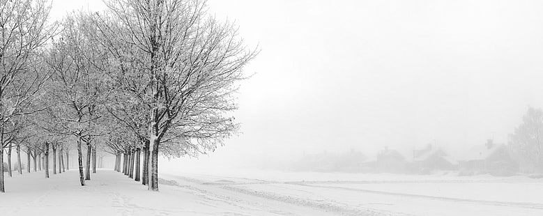 snow weather with trees, weather, Canon EF, mm, f/2, USM, Canon EOS 5D Mark II, Dimma, Fog, Frost, Ice, Mist, Rime, Snow, Sverige, Sweden, Tree, Träd, Vinter, Winter, Uppsala län, nature, cold - Temperature, forest, landscape, season, outdoors, frozen, white, snowing, HD wallpaper HD wallpaper