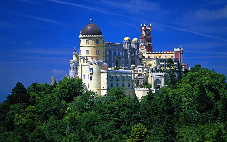 жълта бетонна сграда, небето, дървета, природа, замък, кула, Португалия, дворец, зелен, купол, красива, The Palacio Da Pena, The Pena National Palace, HD тапет