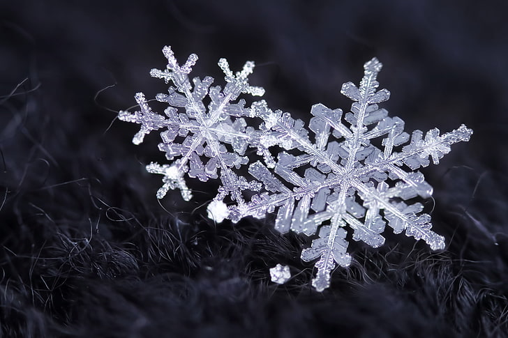 musim dingin, salju, kepingan salju, kristal, Wallpaper HD