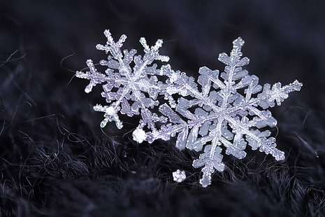 hiver, neige, flocons de neige, cristaux, Fond d'écran HD HD wallpaper