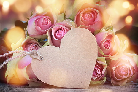 bouquet di rose rosa, rose, amore, gemme, cuore, rosa, fiori, romantico, San Valentino, Sfondo HD HD wallpaper