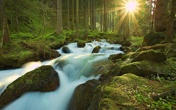 เนื้อน้ำ, ธรรมชาติ, ลำห้วย, ป่า, มอส, การเปิดรับแสงเป็นเวลานาน, หิน, ต้นไม้, วอลล์เปเปอร์ HD