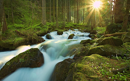 Gewässer, Natur, Bäche, Wald, Moos, Langzeitbelichtung, Felsen, Bäume, HD-Hintergrundbild HD wallpaper
