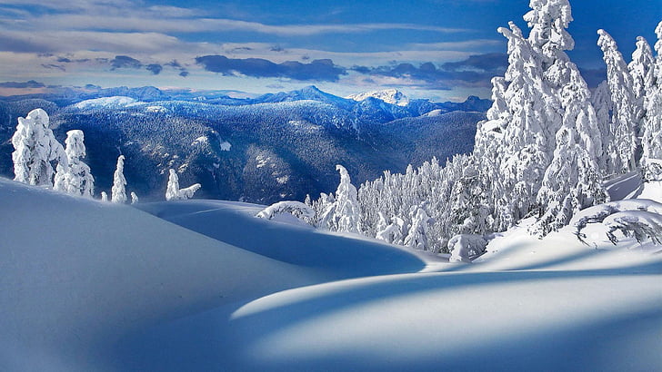 сняг, зима, слана, снежна, гора, планини, пейзаж, пейзаж, небе, невероятно, красиво, борове, борова гора, бор, HD тапет