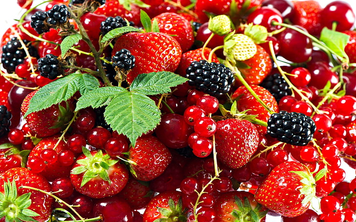 red berries, berries, ripe, red, HD wallpaper