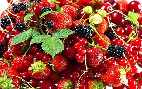 red berries, berries, ripe, red, HD wallpaper HD wallpaper