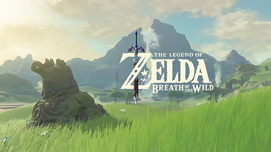 Die Legende von Zelda Beath of the Wild Vektorgrafik, Die Legende von Zelda, Die Legende von Zelda: Breath of the Wild, Videospiele, Fantasiekunst, Meisterschwert, HD-Hintergrundbild HD wallpaper