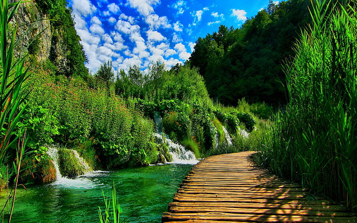 plitvice lakes national park-Best Scenery HD Wallp.., green trees, HD wallpaper