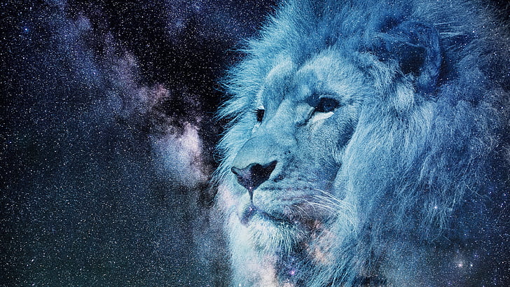 starry sky, lion, sky, wildlife, astronomy, milky way, head, stars, starlight, zodiac, darkness, visual effects, space, HD wallpaper