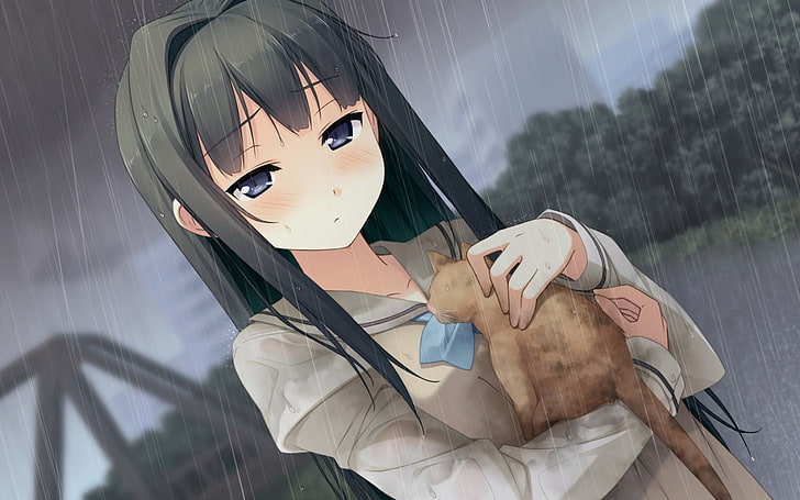 ayase sayuki walking rain kitten care-Anime HD Wal.., black haired girl anime character, HD wallpaper