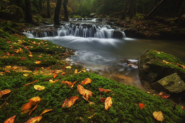 autunno, foresta, foglie, acqua, pietre, cascata, ruscello, fiume, cascate, stagno, soglie, Sfondo HD