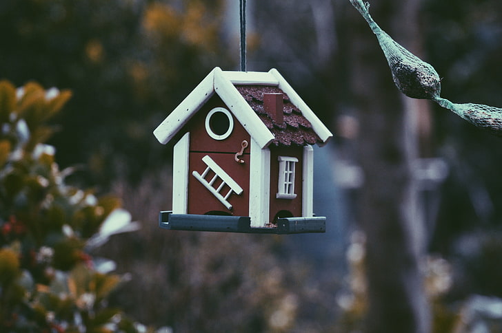 maroon and white wooden birdhouse, feeder, bird, house, HD wallpaper