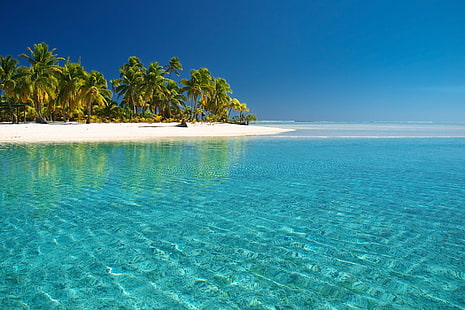 น้ำชายหาดหมู่เกาะคุกเกาะเกาะต้นปาล์มมหาสมุทรแปซิฟิกทะเล 1920x1280 ธรรมชาติชายหาดศิลปะ HD น้ำชายหาด, วอลล์เปเปอร์ HD HD wallpaper