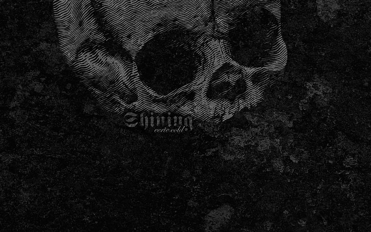 cráneos negro metal frío brillante emo texturas 1920x1200 Texturas abstractas HD Art, negro, calaveras, Fondo de pantalla HD