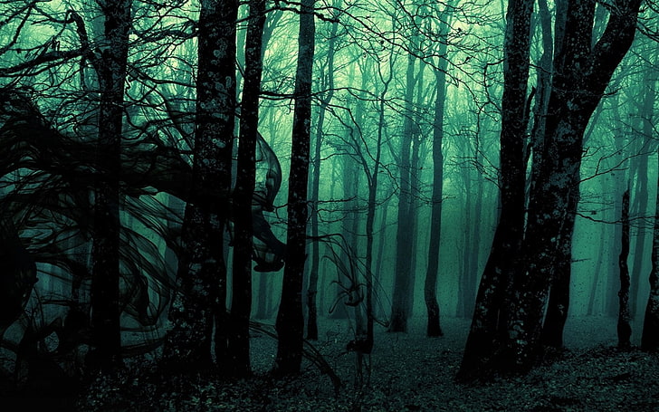 Dark, forest, Gloomy, landscape, nature, Photo Manipulation, Trees, HD wallpaper