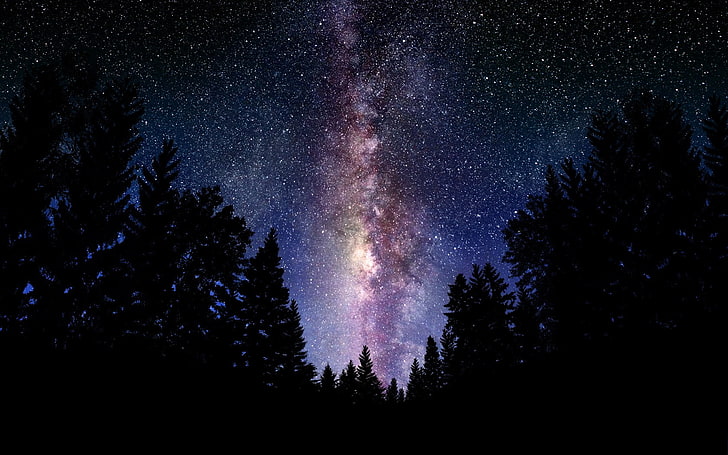 sylwetka drzew nocą, gwiazdy, Droga Mleczna, sztuka kosmiczna, przestrzeń, noc, drzewa, przyroda, Tapety HD