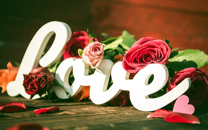 heart, flowers, typography, love, rose, HD wallpaper