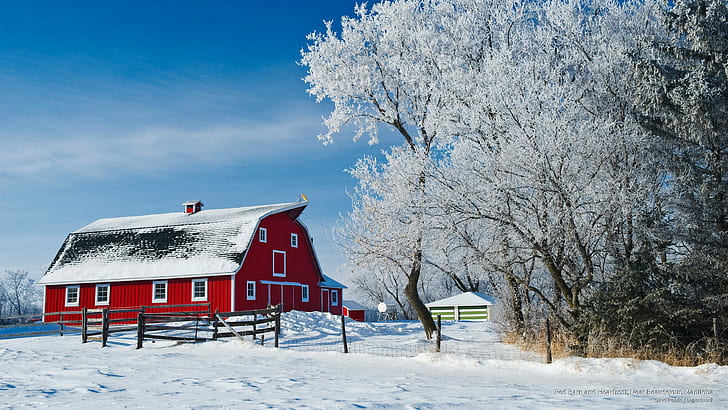 Red Barn and Hoarfrost, Near Beausejour, Manitoba, Winter, HD wallpaper