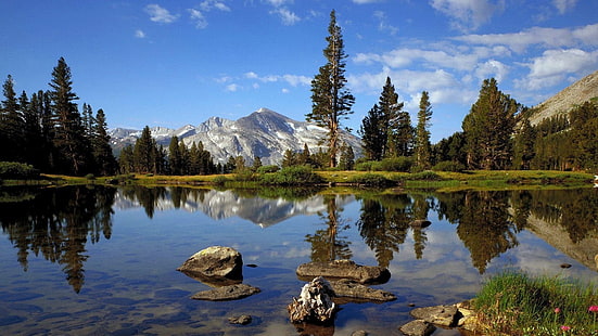 горы пейзажи лес калифорния йосемити 1366x768 Природа Леса HD Арт, горы, пейзажи, HD обои HD wallpaper